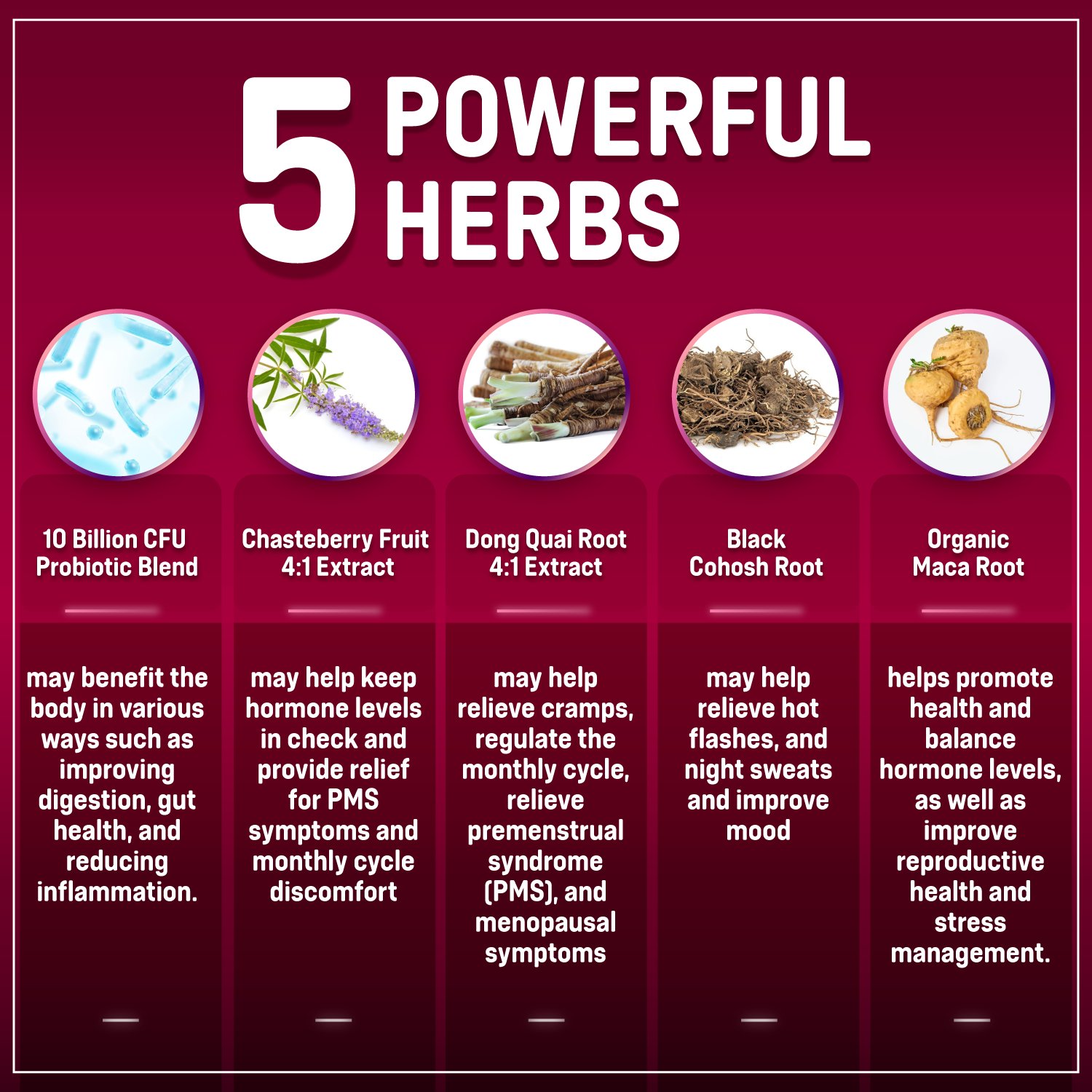5 powerful herbs